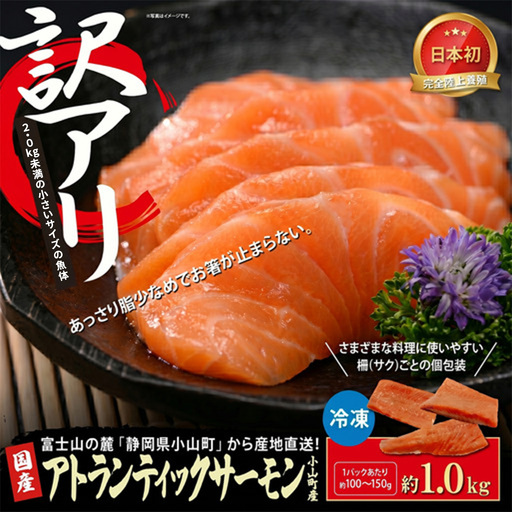 【訳アリ】小山町産 アトランティックサーモン 約1kg（柵）魚体2.0kg未満 | サーモン 刺身 海鮮丼 小分け 真空パック 鮭 養殖 国産 訳あり 1キロ 切り身 静岡県 小山町
