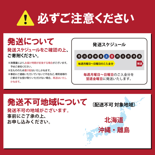 日本初 完全陸上養殖 静岡県小山町産 フジアトランティックサーモン 冷蔵 1尾 丸ごと（ 3.0～4.0kg未満サイズ ） | サーモン 一尾 一匹 アトランティックサーモン 刺身 海鮮丼 鮭 養殖 国産 静岡県 小山町