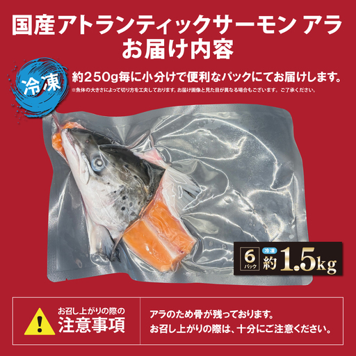 日本初 完全陸上養殖 静岡県小山町産 アトランティックサーモン 冷凍 アラ6パック 約1.5kg | サーモン さーもん 小分け 真空パック 鮭 養殖 国産 大容量 静岡県 小山町