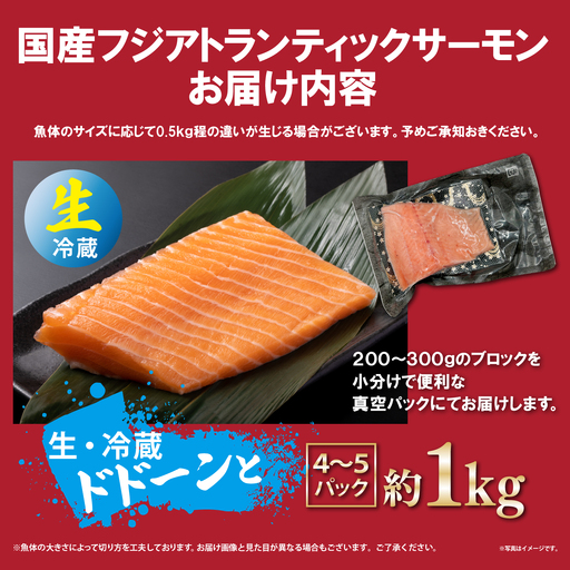 日本初 完全陸上養殖 静岡県小山町産 フジアトランティックサーモン 生 ・冷蔵 4～5P 約1kg | サーモン アトランティックサーモン 刺身 海鮮丼 小分け 真空パック 国産 鮭 養殖 静岡県 小山町
