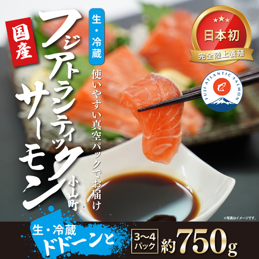 日本初 完全陸上養殖 静岡県小山町産 フジアトランティックサーモン 生 ・冷蔵 3～4P 約750g | サーモン アトランティックサーモン 刺身 海鮮丼 小分け 真空パック 国産 鮭 養殖 静岡県 小山町