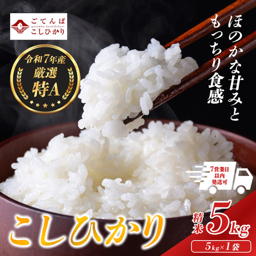 【先行予約】令和8年産 新米コシヒカリ厳選特A【精米】5kg