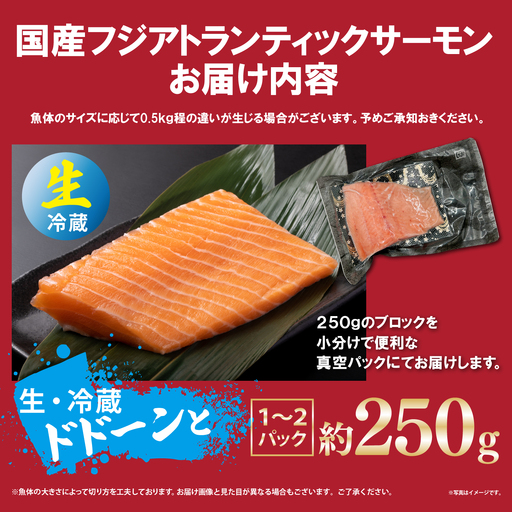 日本初 完全陸上養殖 静岡県小山町産 フジアトランティックサーモン 生 ・冷蔵 1～2P 約250g | サーモン アトランティックサーモン 刺身 海鮮丼 小分け 真空パック 鮭 養殖 国産 静岡県 小山町