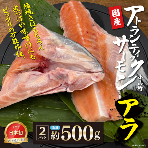 日本初 完全陸上養殖 静岡県小山町産 アトランティックサーモン 冷凍 アラ2パック 約500g | サーモン 刺身 海鮮丼 小分け 真空パック 鮭 養殖 国産 静岡県 小山町