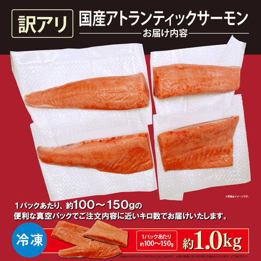 【訳アリ】小山町産 アトランティックサーモン 約1kg（柵）魚体2.0kg未満 | サーモン 刺身 海鮮丼 小分け 真空パック 鮭 養殖 国産 訳あり 1キロ 切り身 静岡県 小山町