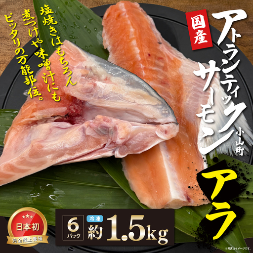 日本初 完全陸上養殖 静岡県小山町産 アトランティックサーモン 冷凍 アラ6パック 約1.5kg | サーモン さーもん 小分け 真空パック 鮭 養殖 国産 大容量 静岡県 小山町