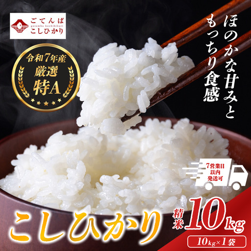 【先行予約】令和8年産 新米コシヒカリ厳選特A【精米】10kg