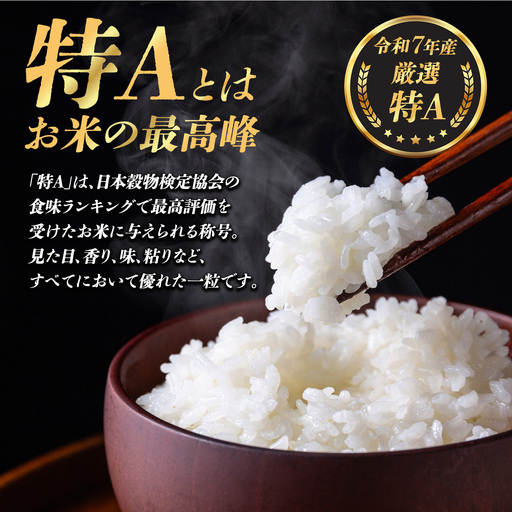 【先行予約】令和8年産 新米コシヒカリ厳選特A【精米】5kg