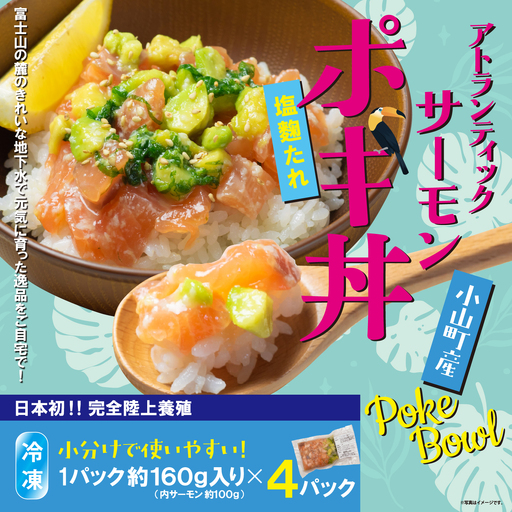 日本初 完全陸上養殖 静岡県小山町産 アトランティックサーモン 冷凍 ポキ丼 （ 約160g × 4パック ）塩?たれ | サーモン 小分け 真空パック 刺身 海鮮丼 海鮮 魚介 アボカド サーモン丼 国産 鮭 養殖 静岡県 小山町