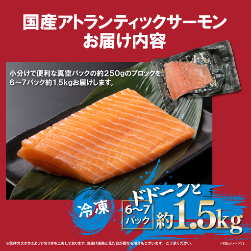 日本初 完全陸上養殖 静岡県小山町産 アトランティックサーモン 冷凍  6～7P 約1.5kg | サーモン 刺身 海鮮丼 小分け 真空パック 鮭 養殖 国産 静岡県 小山町