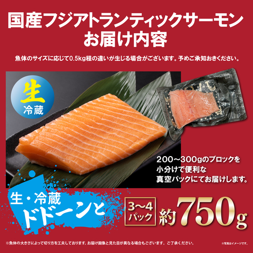 日本初 完全陸上養殖 静岡県小山町産 フジアトランティックサーモン 生 ・冷蔵 3～4P 約750g | サーモン アトランティックサーモン 刺身 海鮮丼 小分け 真空パック 国産 鮭 養殖 静岡県 小山町