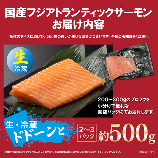 日本初 完全陸上養殖 静岡県小山町産 フジアトランティックサーモン 生 ・冷蔵 2～3P 約500g | サーモン アトランティックサーモン 刺身 海鮮丼 小分け 真空パック 国産 鮭 養殖 静岡県 小山町