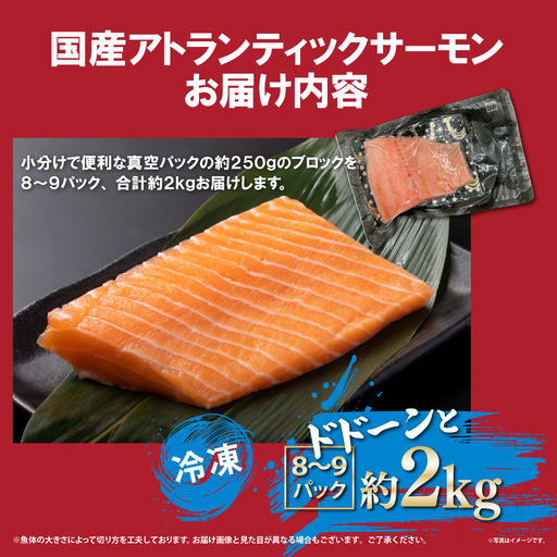 日本初 完全陸上養殖 静岡県小山町産 アトランティックサーモン 冷凍  8～9P 約2kg | サーモン 刺身 海鮮丼 小分け 真空パック 鮭 養殖 国産 静岡県 小山町
