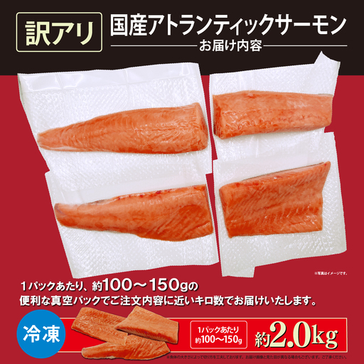 【訳アリ】小山町産 アトランティックサーモン 約2kg（柵）魚体2.0kg未満 | サーモン 刺身 海鮮丼 小分け 真空パック 鮭 養殖 国産 訳あり 2キロ 切り身 静岡県 小山町