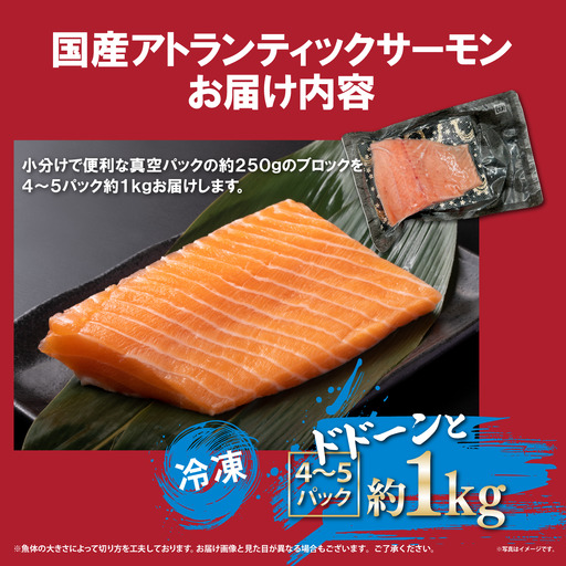 日本初 完全陸上養殖 静岡県小山町産 アトランティックサーモン 冷凍 4～5P 約1kg | サーモン 刺身 海鮮丼 小分け 真空パック 鮭 養殖 国産 静岡県 小山町