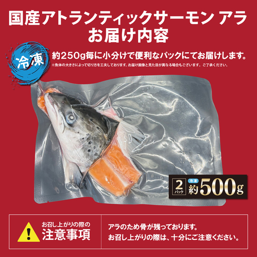 日本初 完全陸上養殖 静岡県小山町産 アトランティックサーモン 冷凍 アラ2パック 約500g | サーモン 刺身 海鮮丼 小分け 真空パック 鮭 養殖 国産 静岡県 小山町
