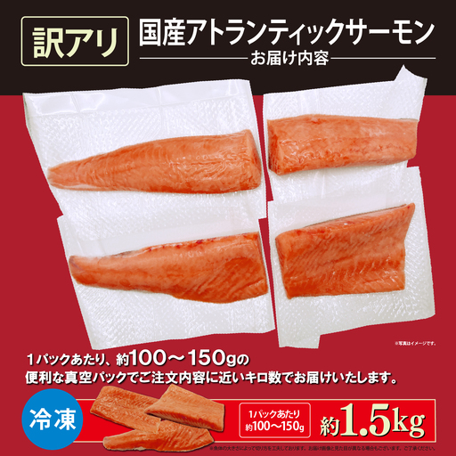 【訳アリ】小山町産 アトランティックサーモン 約1.5kg（柵）魚体2.0kg未満 | サーモン 刺身 海鮮丼 小分け 真空パック 鮭 養殖 国産 訳あり 切り身 静岡県 小山町