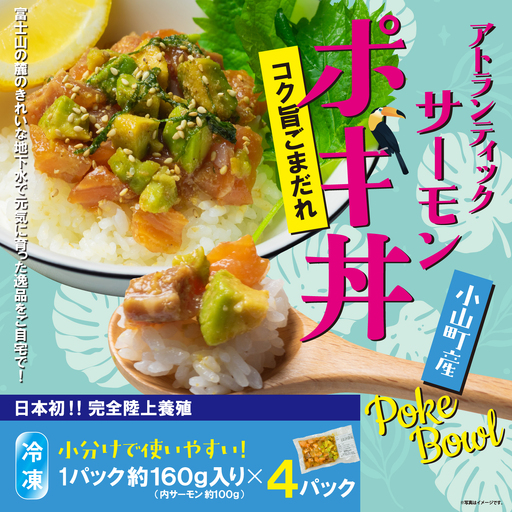 日本初 完全陸上養殖 静岡県小山町産 アトランティックサーモン 冷凍 ポキ丼 （ 約160g × 4パック ）コク旨ごまだれ | サーモン 小分け 真空パック 刺身 海鮮丼 海鮮 魚介 アボカド サーモン丼 国産 鮭 養殖 静岡県 小山町