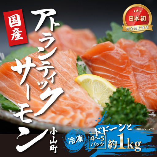 日本初 完全陸上養殖 静岡県小山町産 アトランティックサーモン 冷凍 4～5P 約1kg | サーモン 刺身 海鮮丼 小分け 真空パック 鮭 養殖 国産 静岡県 小山町