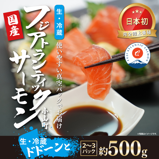 日本初 完全陸上養殖 静岡県小山町産 フジアトランティックサーモン 生 ・冷蔵 2～3P 約500g | サーモン アトランティックサーモン 刺身 海鮮丼 小分け 真空パック 国産 鮭 養殖 静岡県 小山町