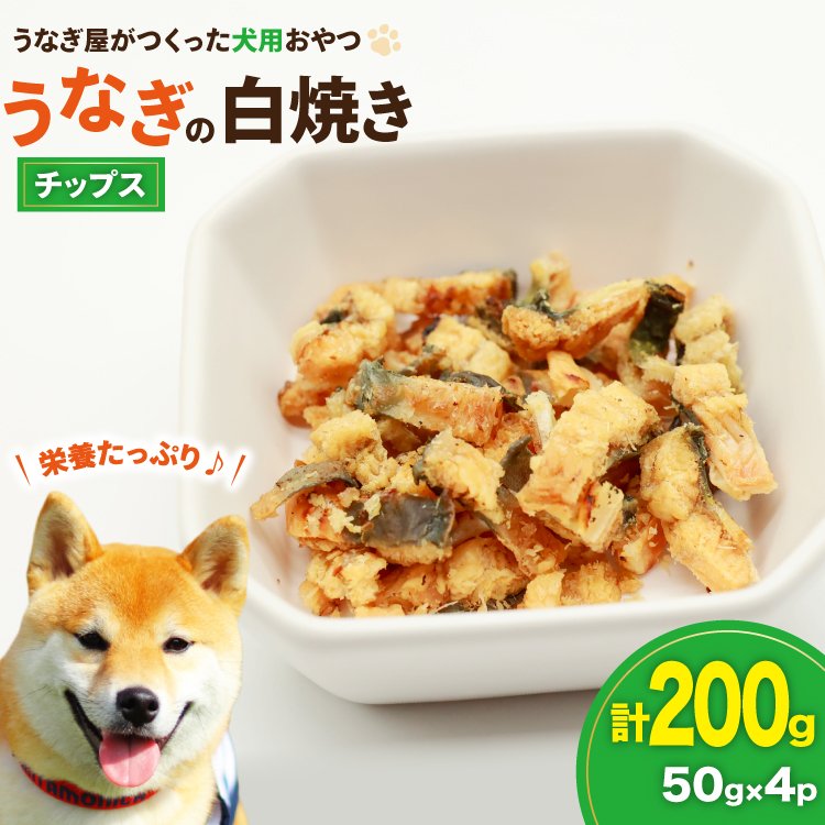 ドッグフード うなぎ 白焼き チップス 50g 4パック 計200g [ヤマカ松本商店 静岡県 吉田町 22424496] ペットフード 犬用 犬 いぬ ペット エサ 餌 おやつ レトルト