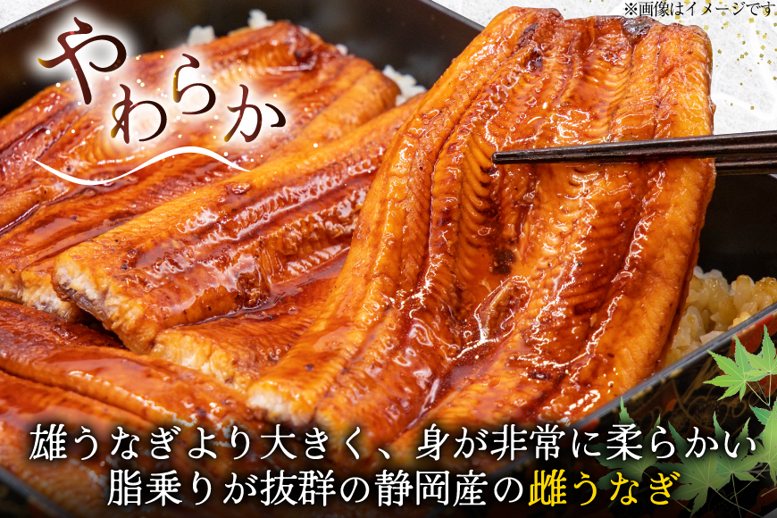 うなぎ 蒲焼き 国産 雌うなぎ 約120g 3尾 計約360g [マルニうなぎ加工 静岡県 吉田町 22424459] 鰻 ウナギ 蒲焼 かば焼き 鰻蒲焼き うなぎ蒲焼 ウナギ蒲焼き 国産うなぎ蒲焼き 冷凍 静岡産 静岡 国産うなぎ 国産鰻 国産ウナギ unagi ◇ ◎