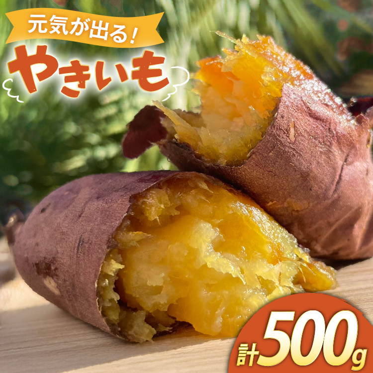 【期間限定発送】 焼き芋 「元気が出るやきいも（フローズン）」紅はるか 500g 冷凍 [うみとやきいもラッキーズ 静岡県 吉田町 22424682] やきいも 焼きいも 焼芋 ヤキイモ 焼イモ おいも 芋 いも べにはるか さつま芋 さつまいも サツマイモ おやつ スイーツ