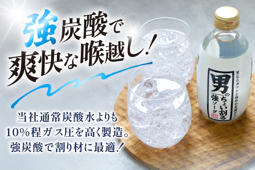 ソーダ 男のちょい割る強ソーダ 300ml × 24本 [翔栄通商 静岡県 吉田町 22424712] 炭酸 炭酸飲料 強炭酸 瓶 そーだ 木村飲料