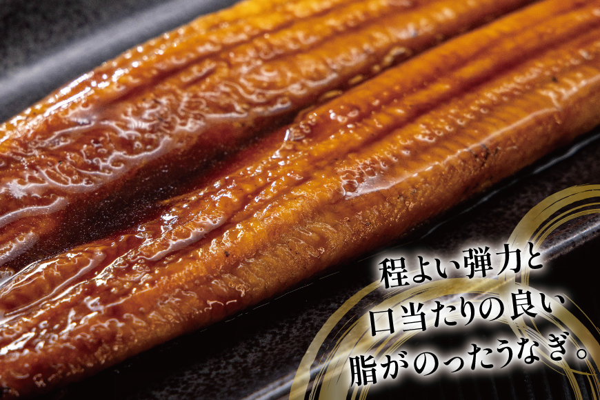 うなぎ 国産 蒲焼 定期便 160g程度 2尾 12回 総計24尾 3.84kg以上 タレ山椒付き 真空パック 個包装 [駿河淡水 静岡県 吉田町 22424511] 静岡県産 静岡 鰻 ウナギ うなぎ蒲焼 鰻蒲焼き 蒲焼き かば焼き 化粧箱 冷凍 unagi