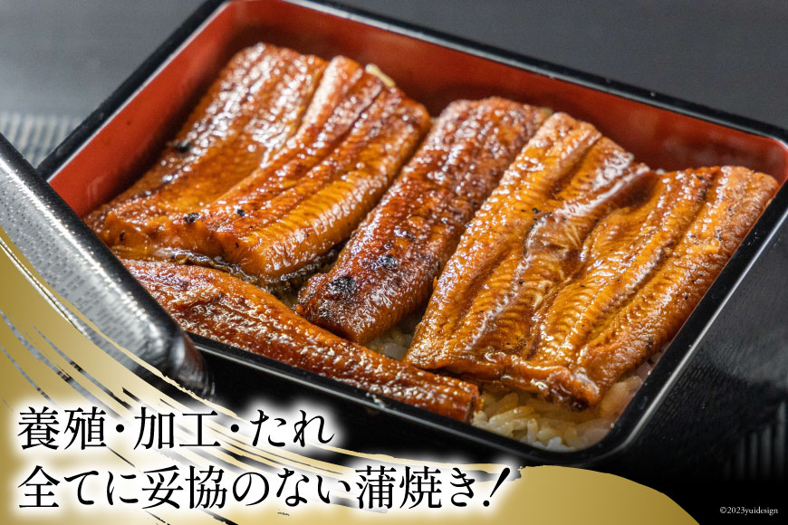 うなぎ 国産 静岡 うなぎ蒲焼 カット 80g ×6 計480g [静岡鰻販売 静岡県 吉田町 22424173] レンジ 鰻 レンチン ウナギ うなぎ蒲焼き うなぎ蒲焼 真空パック 冷凍 蒲焼 肉厚 ふっくら 静岡県産 ◎