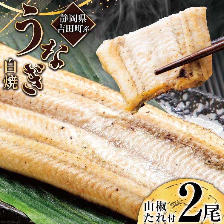 うなぎ 国産 静岡 うなぎ白焼 150g 以上× 2尾 タレ 山椒 付き [大井川うなぎ 静岡県 吉田町 22424463] 鰻 ウナギ 白焼き 白焼 鰻白焼き 真空パック 静岡県産 ◎