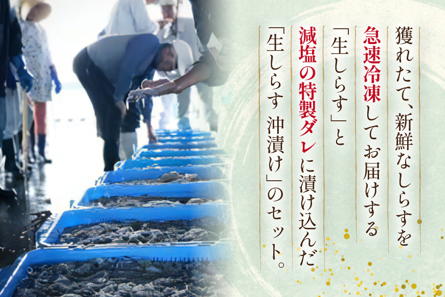 生しらす 160ｇｘ2パック と沖漬け 100g ｘ 2パック 計520g 食べ比べ 小分け セット [丸三水産 静岡県 吉田町 22424697] しらす シラス 冷凍 海鮮 ご飯のお供