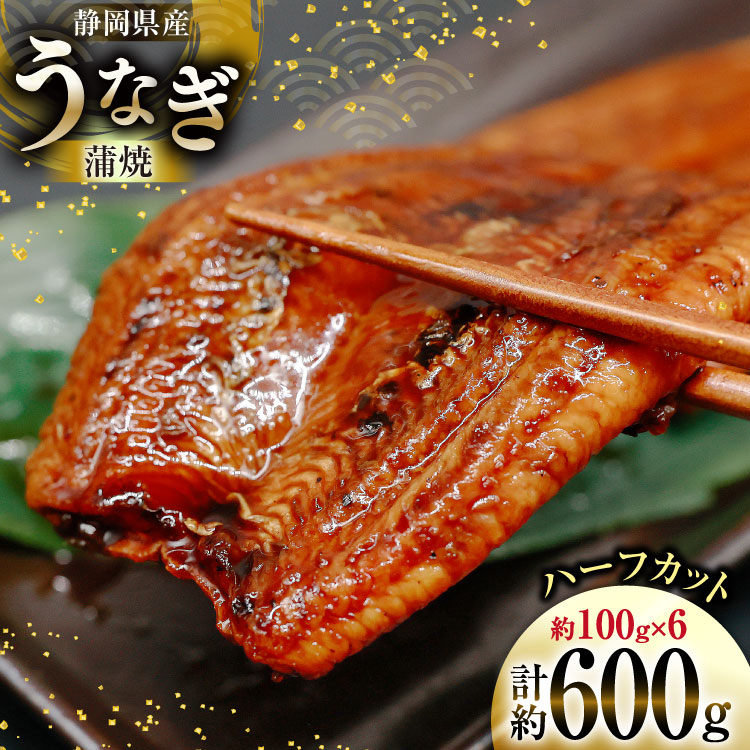 うなぎ 国産 静岡 うなぎ蒲焼 ハーフカット 100g ×6 計600g [静岡鰻販売 静岡県 吉田町 22424172] 鰻 ウナギ うなぎ蒲焼き うなぎ蒲焼 真空パック 冷凍 蒲焼 肉厚 ふっくら 静岡県産 ◎