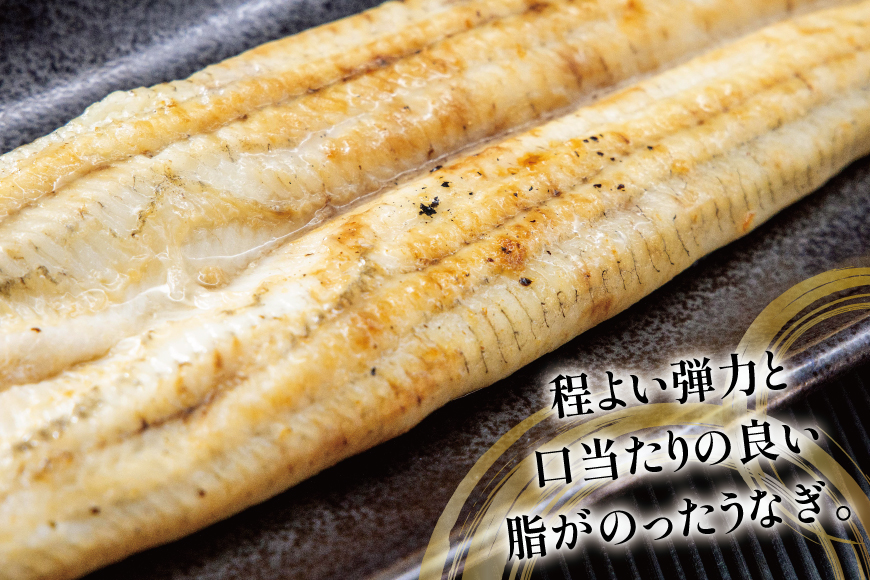 うなぎ 国産 白焼 定期便 160g程度 2尾 6回 総計12尾 1.92kg以上 タレ山椒付き 真空パック 個包装 [駿河淡水 静岡県 吉田町 22424509] 静岡県産 静岡 鰻 ウナギ うなぎ白焼き うなぎ白焼 鰻白焼き 白焼き 化粧箱 冷凍 unagi