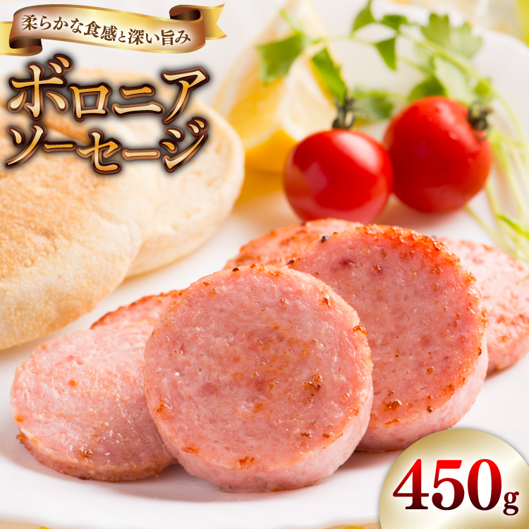 ソーセージ ボロニアソーセージ450g [吉田ハム工場 静岡県 吉田町 22424674] ボロニア 国産 豚肉 加工肉 肉 ハム おかず 惣菜 おつまみ ギフト お中元 お歳暮