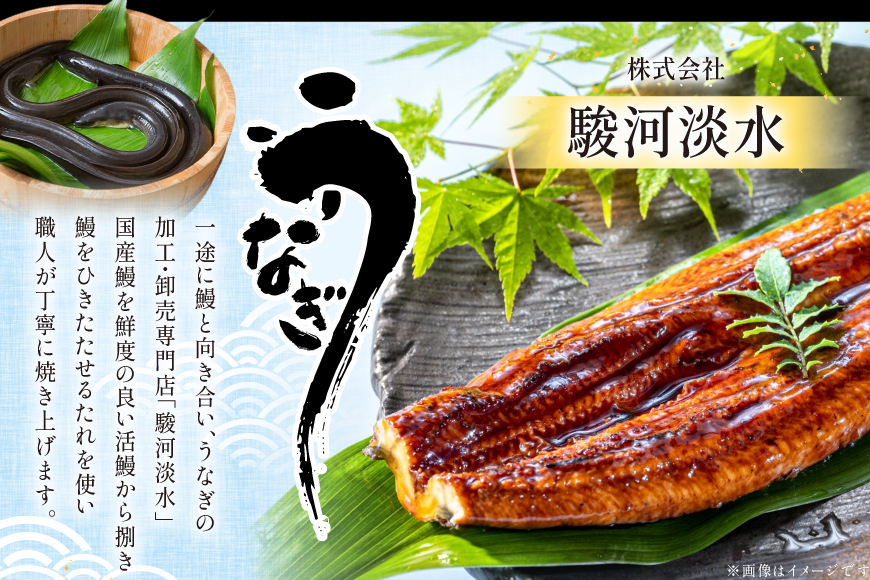 うなぎ 静岡県産 鰻2尾 約160g×2 蒲焼1尾 白焼1尾 [駿河淡水 静岡県 吉田町 22424653] 国産 鰻 ウナギ 蒲焼 蒲焼き かば焼き 白焼き 白焼 真空パック