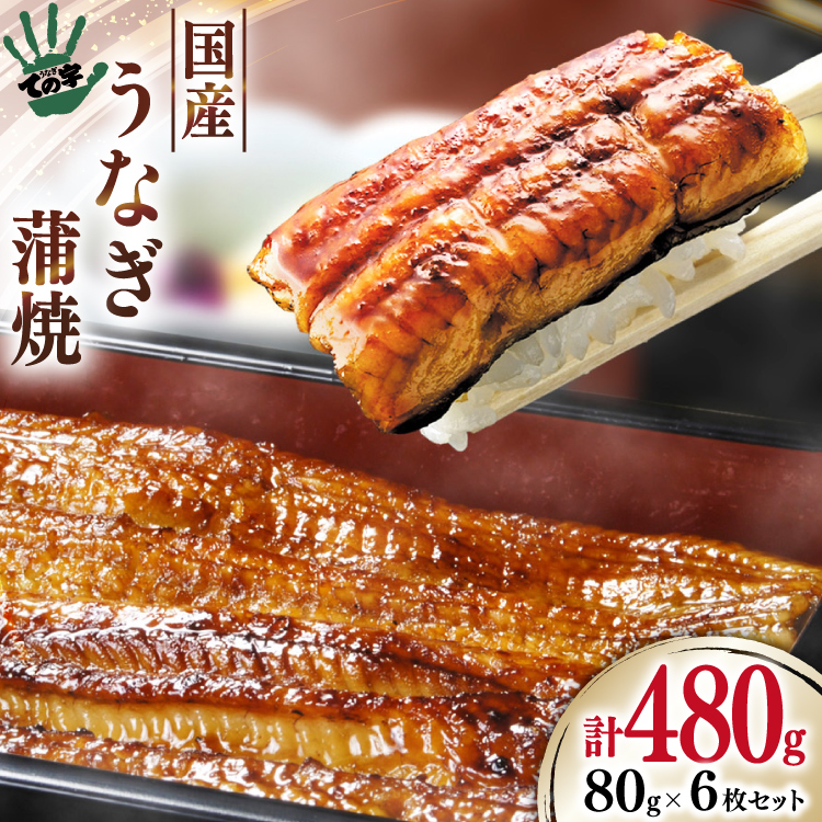 うなぎ 国産 蒲焼 80g ×6 計480g [ての字 静岡県 吉田町 22424461] 鰻 ウナギ うなぎかば焼き うなぎ蒲焼き 鰻蒲焼 鰻蒲焼き ウナギかば焼き 真空パック 蒲焼 タレ たれ 静岡県産 unagi