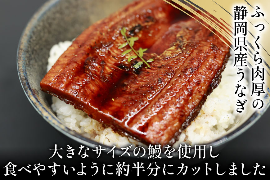 うなぎ 国産 静岡 うなぎ蒲焼 ハーフカット 100g ×6 計600g [静岡鰻販売 静岡県 吉田町 22424172] 鰻 ウナギ うなぎ蒲焼き うなぎ蒲焼 真空パック 冷凍 蒲焼 肉厚 ふっくら 静岡県産 ◎