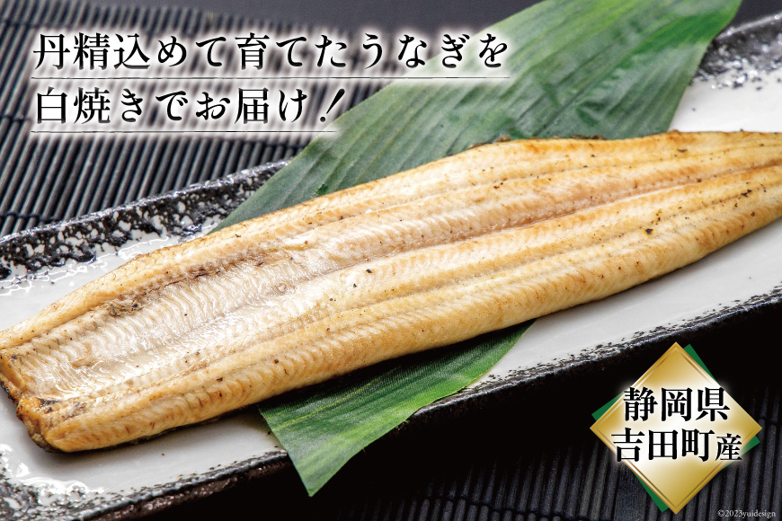 うなぎ 国産 定期便 白焼 150g以上 2尾 6回 総計12尾 タレ 山椒 付き [大井川うなぎ 静岡県 吉田町 22424564] 鰻 ウナギ unagi 白焼き 鰻白焼き 真空パック 冷凍 静岡県産 ◎