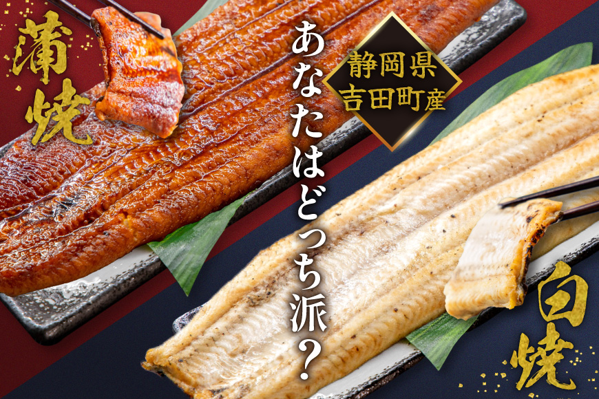 うなぎ 国産 静岡 うなぎ蒲焼 白焼 各130g 以上 各 1尾 計 2尾 3回 計6尾 タレ 山椒 付き [大井川うなぎ 静岡県 吉田町 22424763] 静岡県産 鰻 ウナギ ungai 蒲焼き うなぎ蒲焼き 鰻蒲焼 真空パック 冷凍 ◎