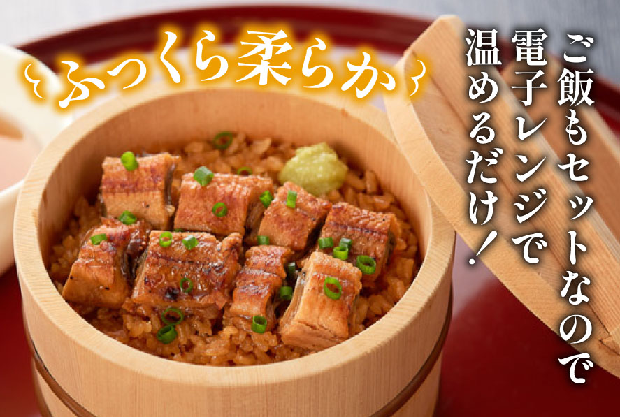 うなぎ 国産 櫃まぶし 220g ×4 計880g【綱正】[フーズ・ユー 静岡県 吉田町 22424188] 鰻 ウナギ 蒲焼 蒲焼き ひつまぶし 詰め合わせ 冷凍 ご飯 ごはん