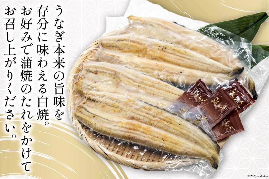 うなぎ 国産 静岡 うなぎ白焼 4尾 セット 140g×4 計約560g [静岡鰻販売 静岡県 吉田町 22424177] 鰻 ウナギ 白焼 白焼き 真空パック 蒲焼 惣菜 おかず 静岡県産 冷凍 ◎