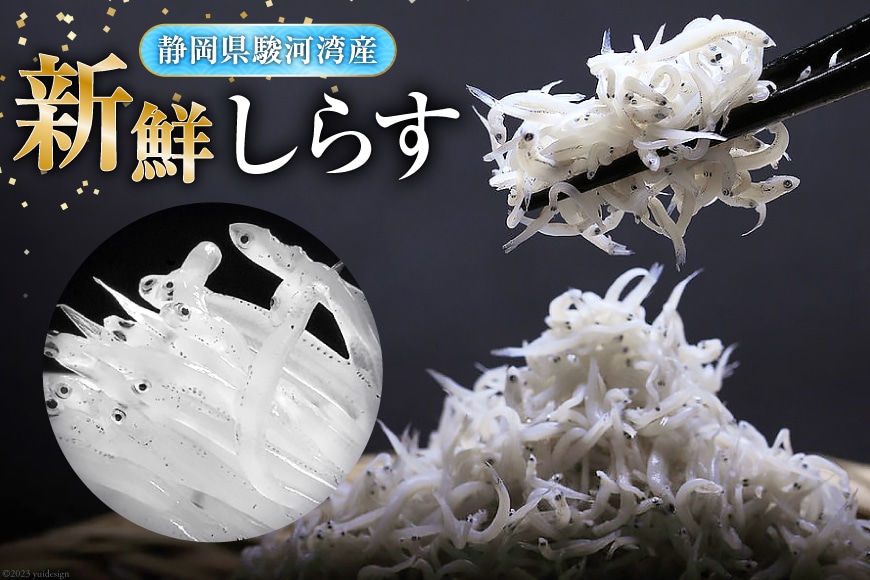 駿河湾産 しらす干し100g×1 釜上げしらす120g×2 [マルあ水産 静岡県 吉田町 22424638] 魚 海鮮 しらす 白子 シラス 天日 じゃこ 小分け おじゃこ しらす干し ◇