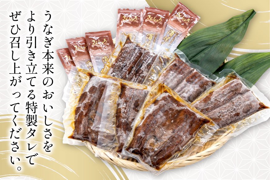 うなぎ 国産 静岡 うなぎ蒲焼 ハーフカット 100g ×6 計600g [静岡鰻販売 静岡県 吉田町 22424172] 鰻 ウナギ うなぎ蒲焼き うなぎ蒲焼 真空パック 冷凍 蒲焼 肉厚 ふっくら 静岡県産 ◎