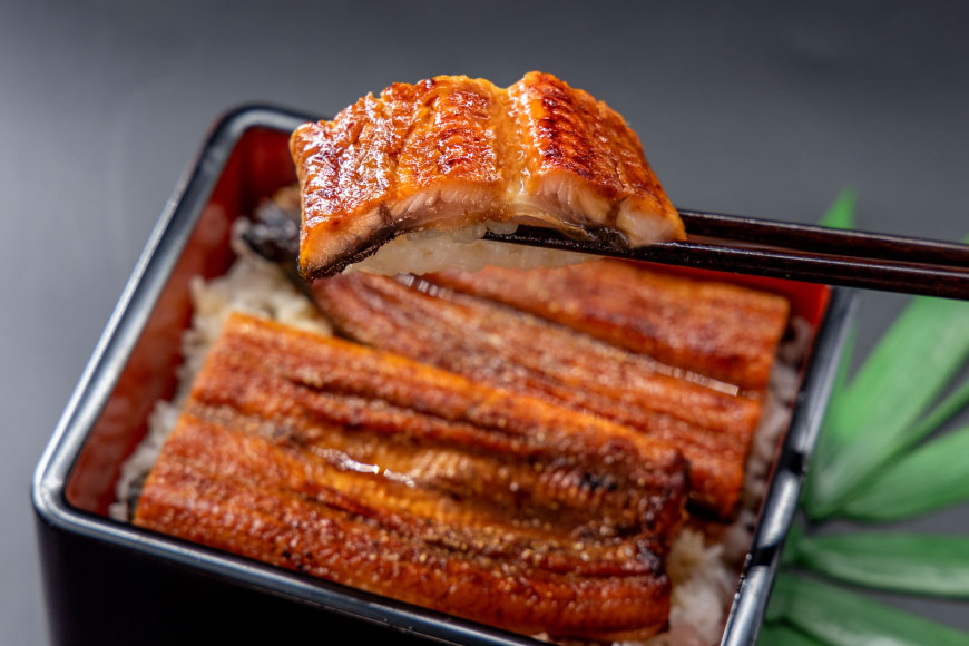うなぎ 国産 うなぎ蒲焼セット カット8P (80g×8P 小袋たれ山椒付×8P) [静岡うなぎ漁業協同組合 静岡県 吉田町 22424687] 静岡県産 吉田町産 鰻 ウナギ 蒲焼き 蒲焼 かば焼き カバヤキ 真空パック 冷凍 うなぎ うな丼 うな重 鰻重 土用の丑の日 丑の日