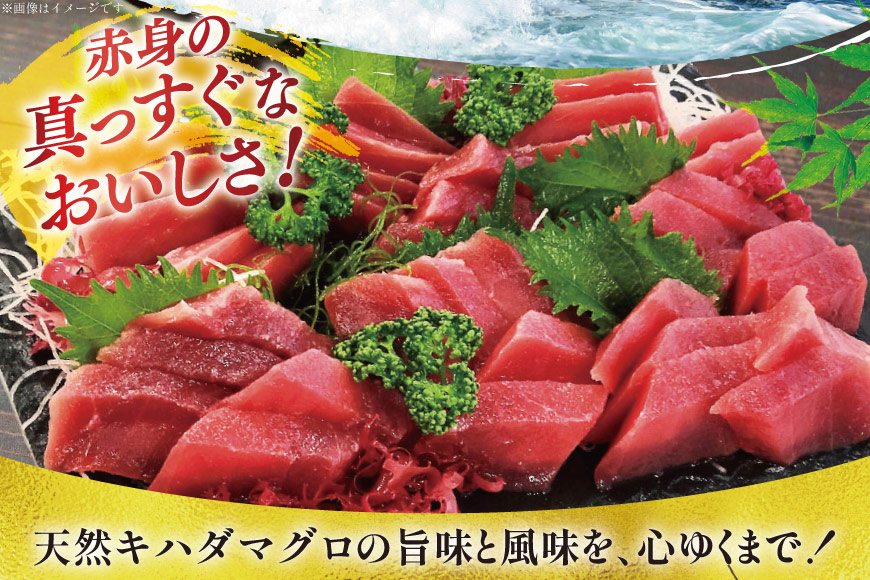 マグロ 天然 まぐろ 赤身 サク 4袋 計1.2kg [大長増田商店 静岡県 吉田町 22424243] 鮪 魚 魚介 刺し身 刺身 さしみ お刺身用 柵 キハダ 業務用 ◇