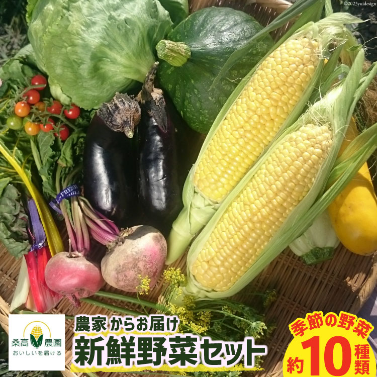 【期間限定発送】野菜 10種類 セット [桑高農園 静岡県 吉田町 22424127] 野菜 やさい 新鮮 旬 季節の野菜 セット 10種 美味しい