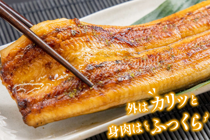 国産うなぎ蒲焼詰合せ4尾[フーズ・ユー綱正 静岡県 吉田町 1293688]