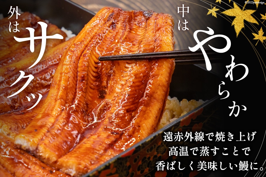 『定期便』国産 うなぎ蒲焼・2尾セット 全12回 [マルニうなぎ加工 静岡県 吉田町 22424423] 鰻 ウナギ 蒲焼き うなぎ蒲焼き 鰻蒲焼き unagi ◎