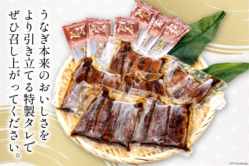 うなぎ 国産 静岡 うなぎ蒲焼 カット 80g ×6 計480g [静岡鰻販売 静岡県 吉田町 22424173] レンジ 鰻 レンチン ウナギ うなぎ蒲焼き うなぎ蒲焼 真空パック 冷凍 蒲焼 肉厚 ふっくら 静岡県産 ◎